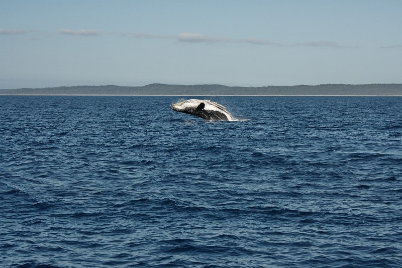 2009-11-06 22-04-31_2.jpg - ...rolle rückwärts...